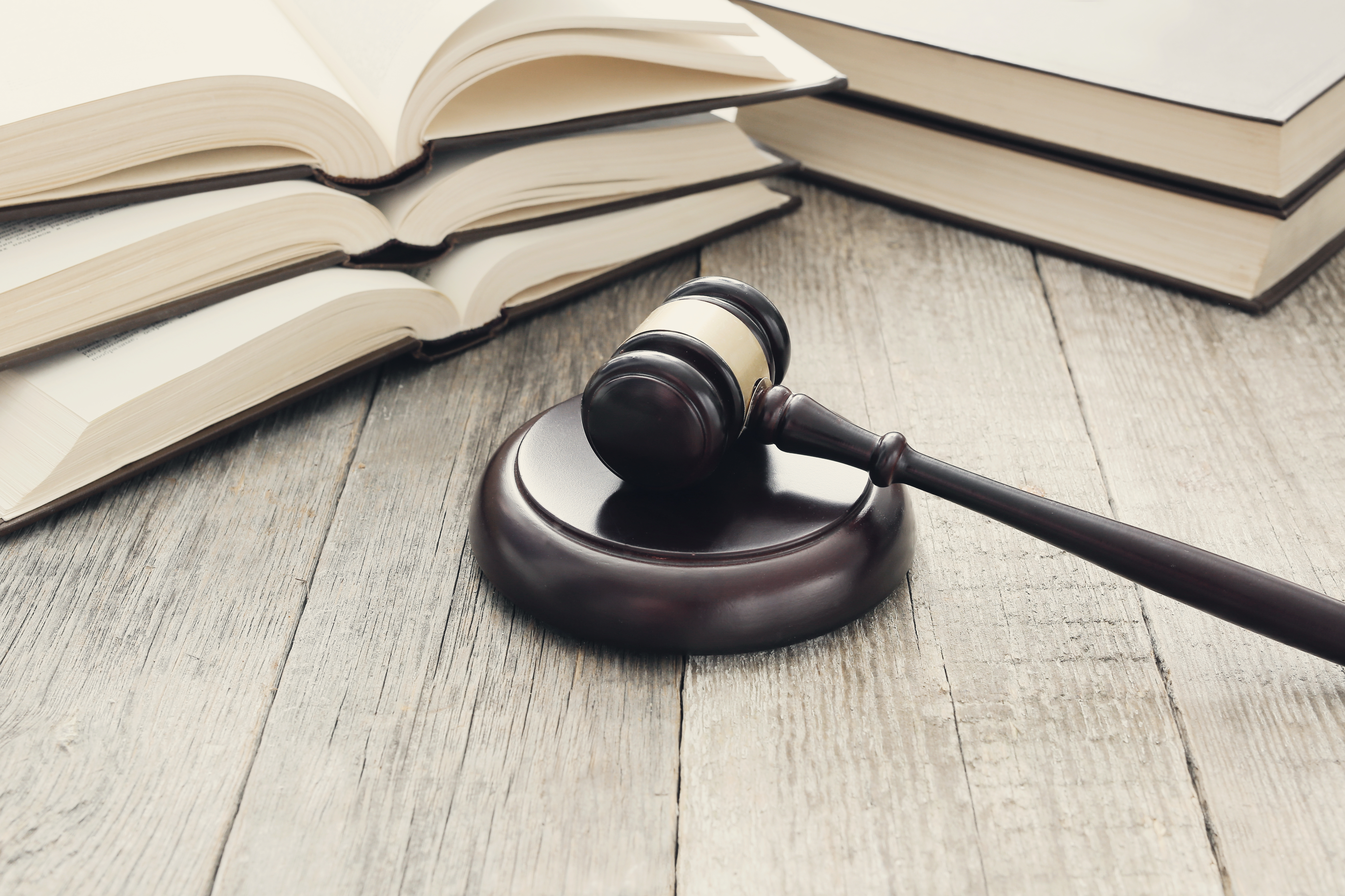 The legal position on Japanese Knotweed